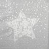 Lunch Napkins (20) - Christmas Lace silver
