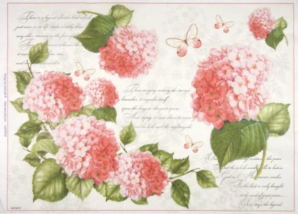 Rice Paper Red Hydrangea