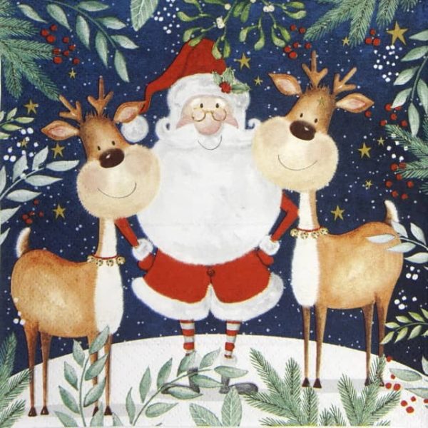 Lunch Napkins (20) -  Santa & Funny Reindeer