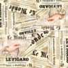 Stamperia Rice Paper - News Figaro (50 x 50cm)