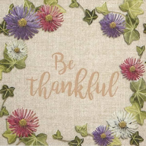 Cocktail Napkins (20) - Be Thankful linen