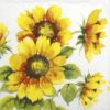 Lunch Napkins (20) - Colourful Sunflowers