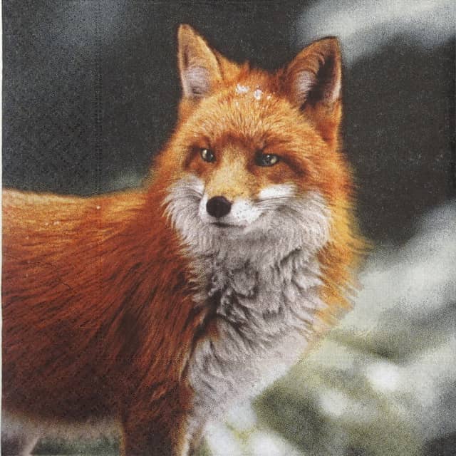 Paper Napkin - Forest Fox
