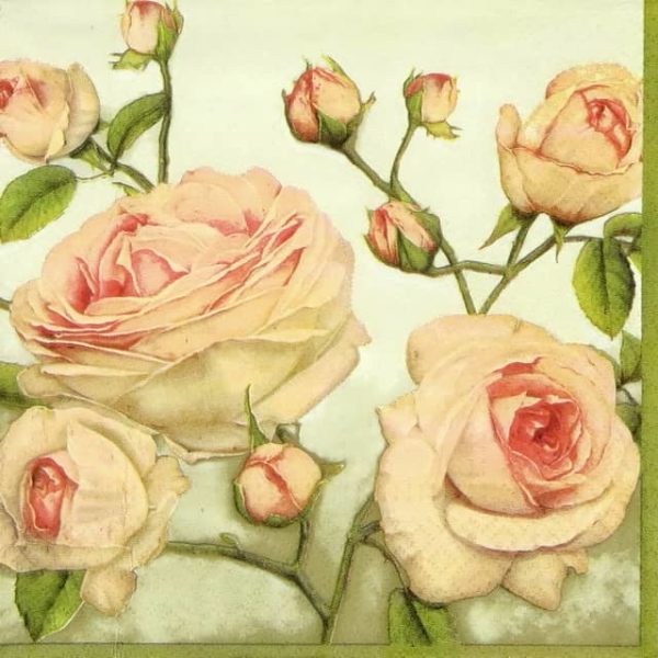 Lunch Napkins (20) - Beauty Roses