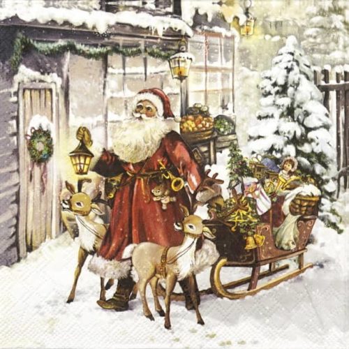 Lunch Napkins (20) - Christmas Visit