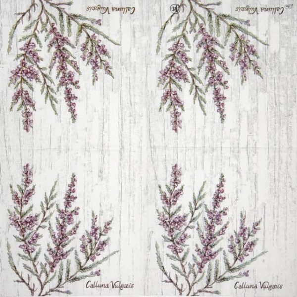 Cocktail Napkin - Calluna Vulgaris_IHR_C917245