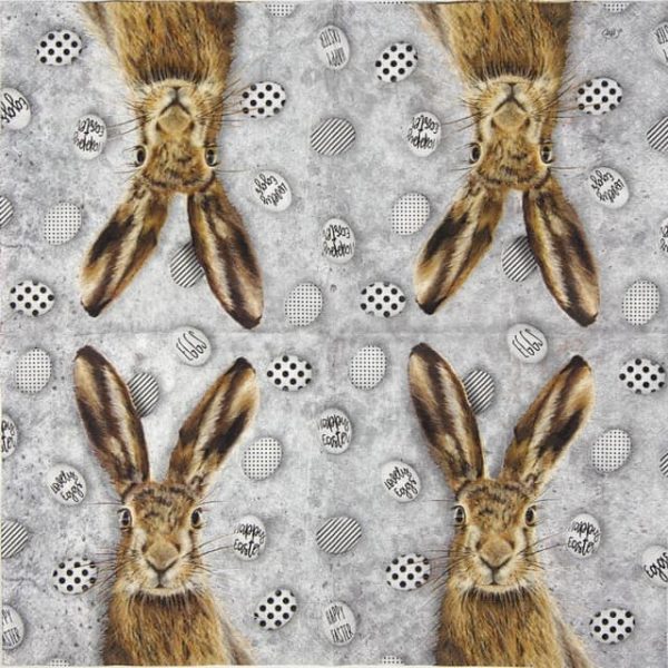 Cocktail Napkin - Oh my rabbit