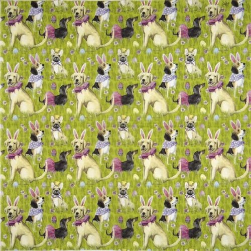 Ihr_bunny-dogs_853700