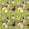 Paper Napkin - Bunny dogs