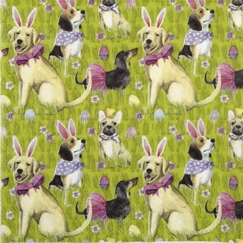 Paper Napkin - Bunny dogs