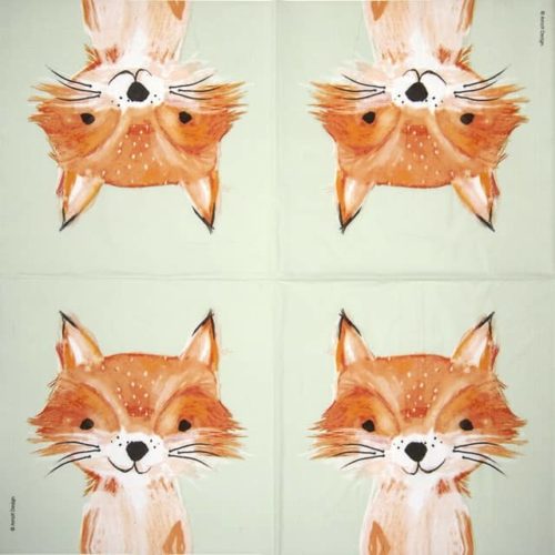 PPD_Foxy_1334080