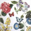 Paper Napkin - Paula Scaletta: Victoria Garden