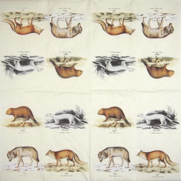 Paper Napkin - Nordic animals