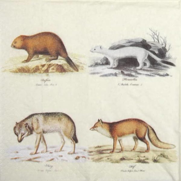 Lunch Napkins - Nordic animals (25 pieces)