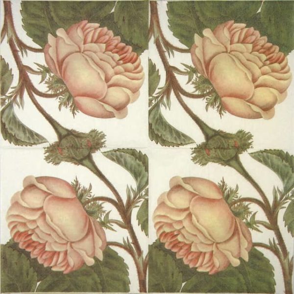 Paper Napkin - Rose