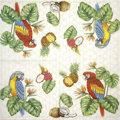 Paper Napkin - Parrots with Tropical Motifs_Daisy_SDOG033301