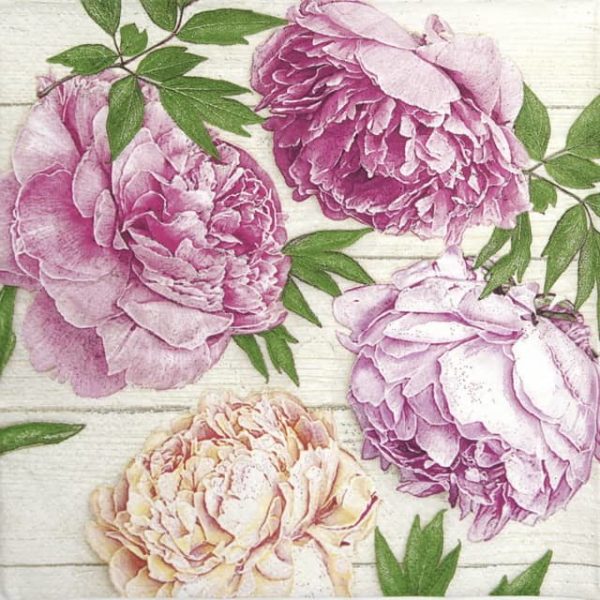 Paper Napkin - Romantic Peonies on White Wood_Daisy_SDOG033901