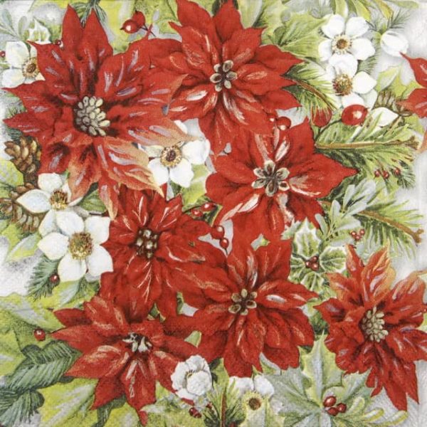 Paper Napkin - Poinsettia All Over