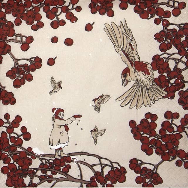 Paper Napkin girl and birds beige and red