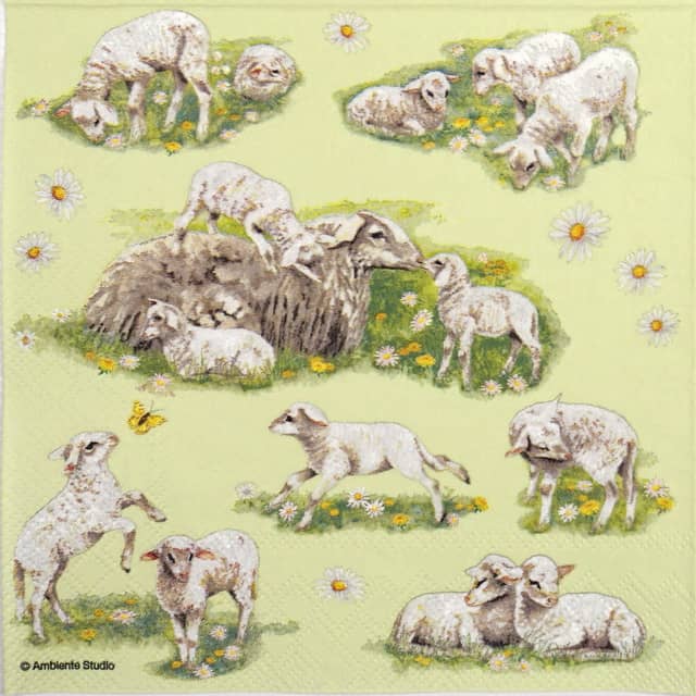 Paper Napkin - Spring with Lambs