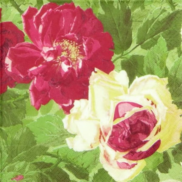 Paper Napkin - Cabagge Rose