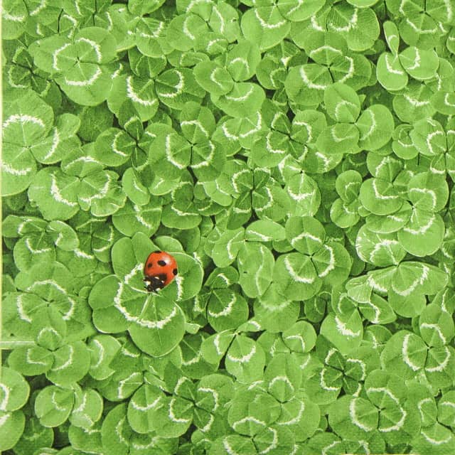 Paper napkin Clover Background with Ladybug