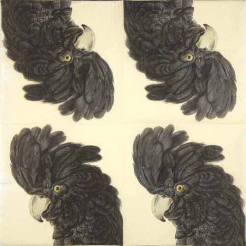 Paper napkin Black Cockatoo