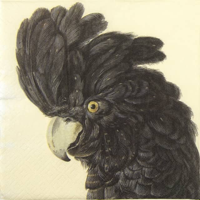 Paper napkin Black Cockatoo
