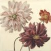 Paper napkin dahlias