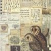 Rice Paper - Alchemy owls Stamperia DFSA4664