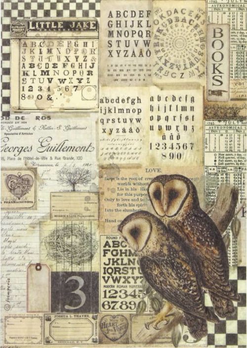 Rice Paper - Alchemy owls Stamperia DFSA4664