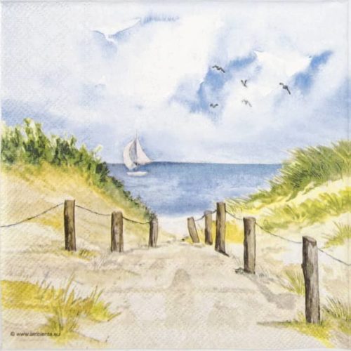 Paper Napkin - Dune path at the seaside