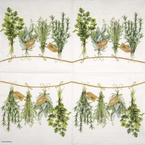 Paper napkin variety of fresh green herbs hanging on a line