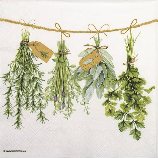 Paper napkin variety of fresh green herbs hanging on a line