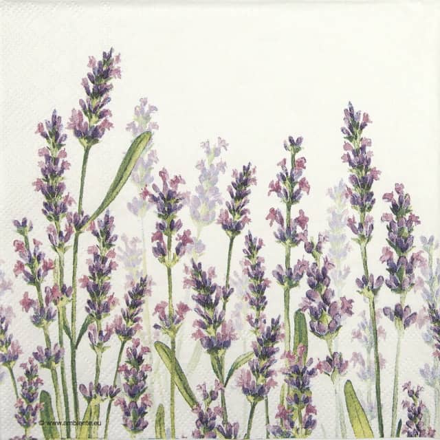 Paper napkin Lavender Shades on White background