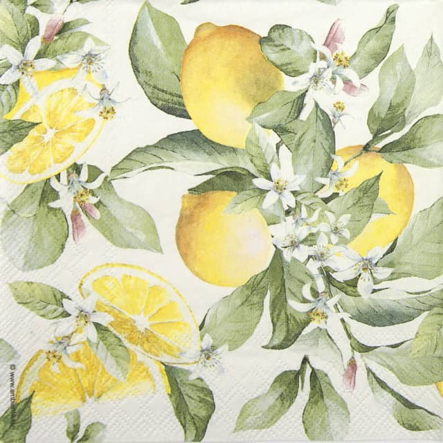 Paper napkin with fruiting lemon bush