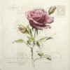 Paper napkin with a thread of roses on a romantic background