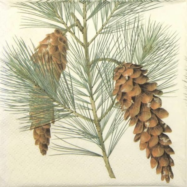 Paper Napkin - Cones