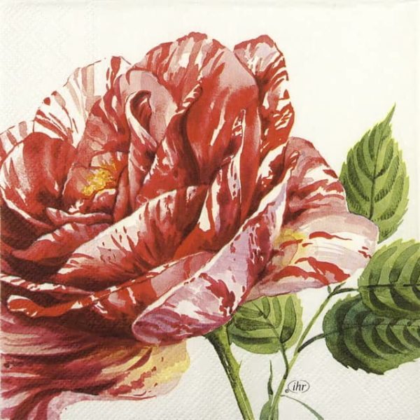 Paper Napkin red rose on white backgroundwhite