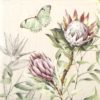 Paper napkin king protea with butterfly and dragonfly