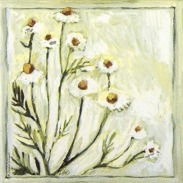 Paper napkin painted camomille flower