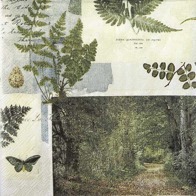 Paper Napkin forest plants