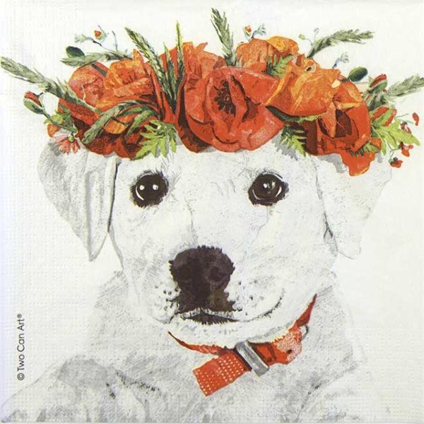 Paper Napkin Two Can Art Enzo's Spring Dog Poppy