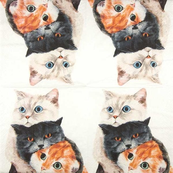 Paper Napkin three cats