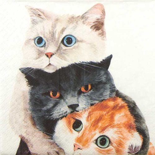 Paper Napkin three cats