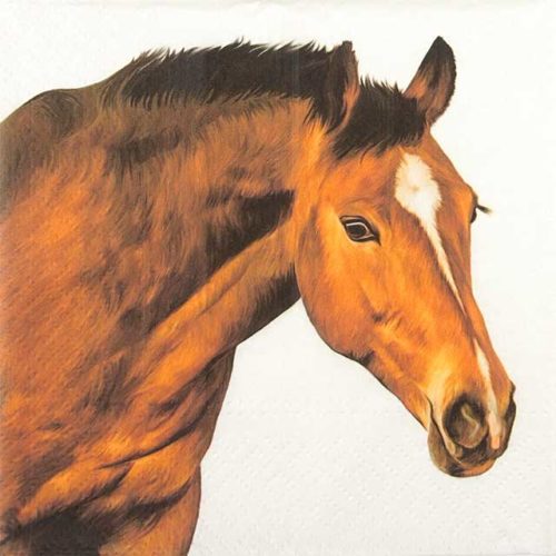 Paper Napkin Brown Horse Head