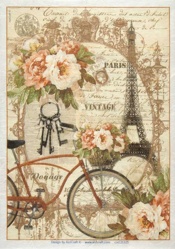 Rice Paper Bike in Paris Eiffel Tower