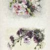 Rice Paper Spring Flower Collection