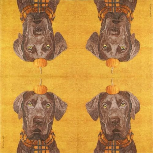 Paper Napkin Brownie autumn dog