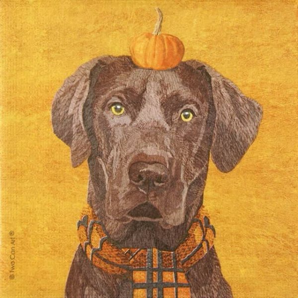 Paper Napkin Brownie autumn dog